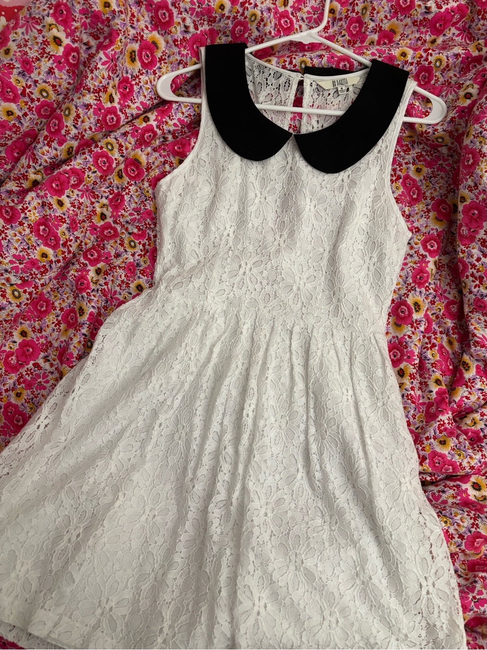 BB Dakota White Lace Floral Zipper Cutout Dress with Black Peter Pan Collar